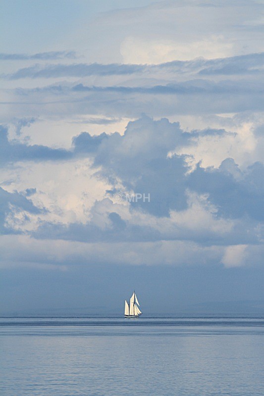 225 - Gallery 2