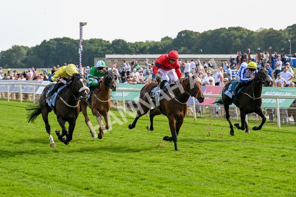 130625-Race 6-Forager-9926 - Race 6 4.45pm Constant Security Services Handicap