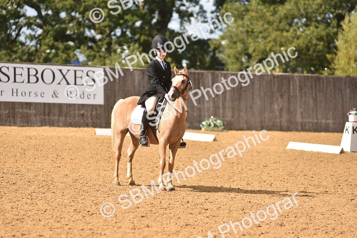 SBM_48677 - D22 - Junior Championship Intro 3