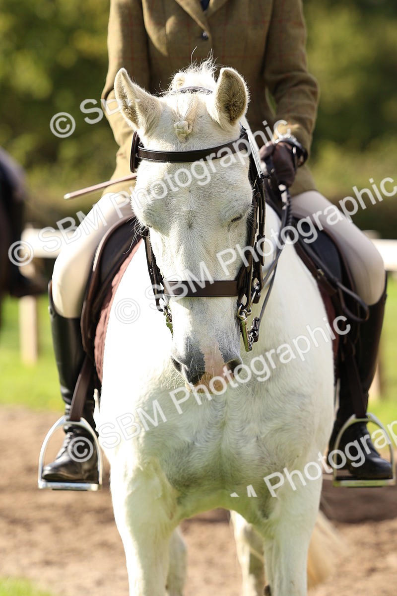 SBM_47803 - S28 - Veteran Ridden