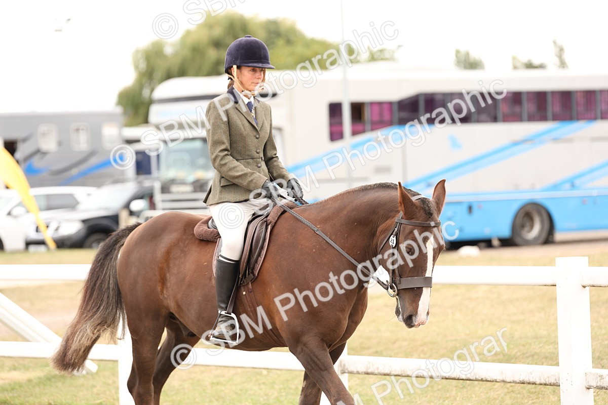 SBM_19486 - Class 215 - Ridden Show cob