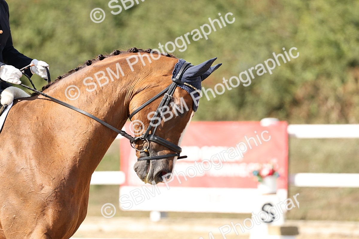 SBM_014922 - Class 7 - Medium 3