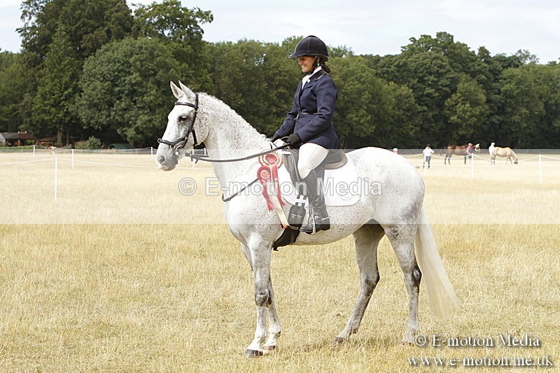 _BS_1018 - Working Hunter Championship BVRC Show 2018