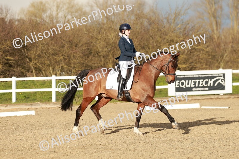 20260314-6301 - CT7 - Elementary 2