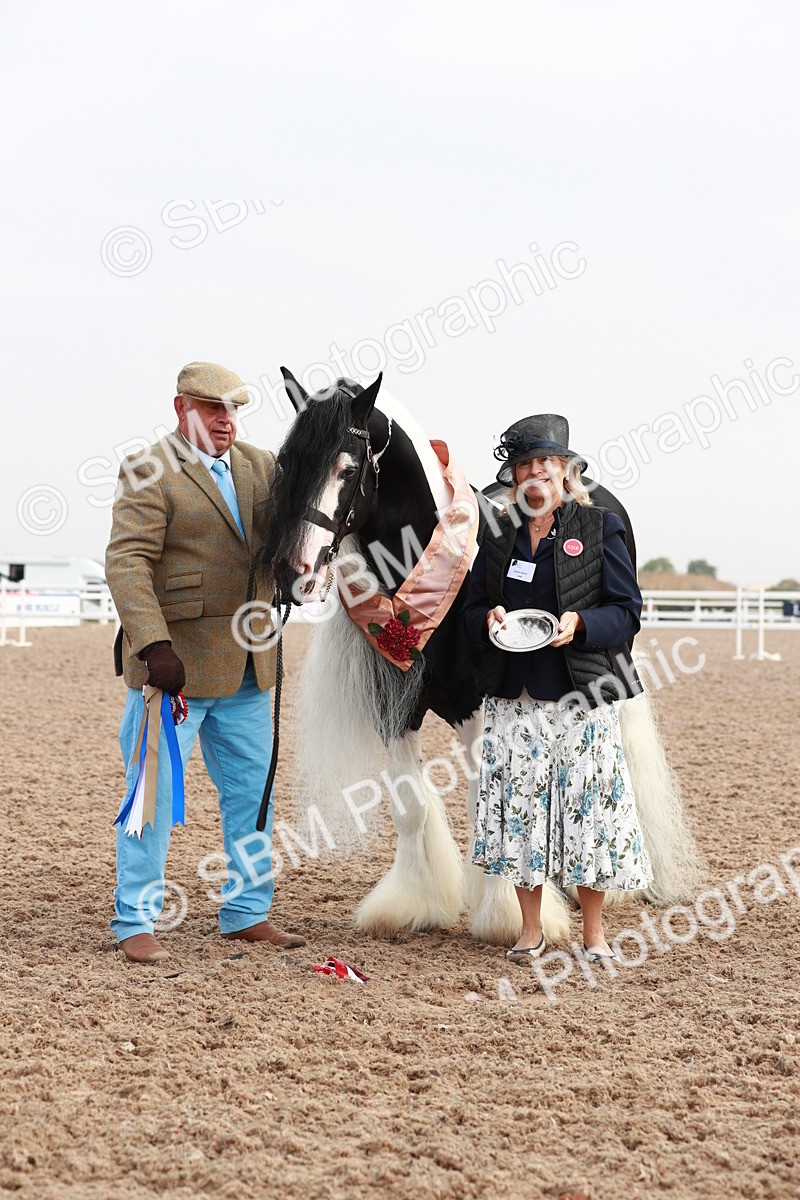 SBM_09568 - Class 201 Best Turned Out IH