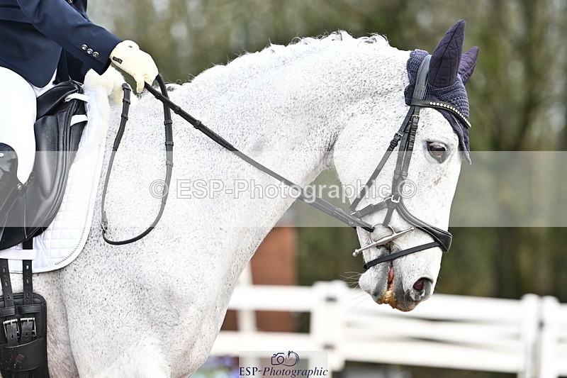 240218A-092036-04729 - 147-Tammie.Wells-Silver.moonshine