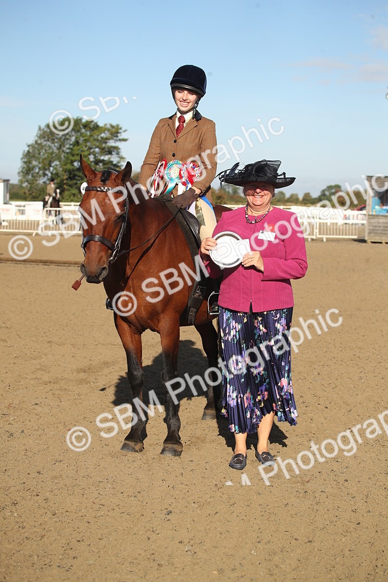 SBM_11577 - Class 502 - Riding Club Horse