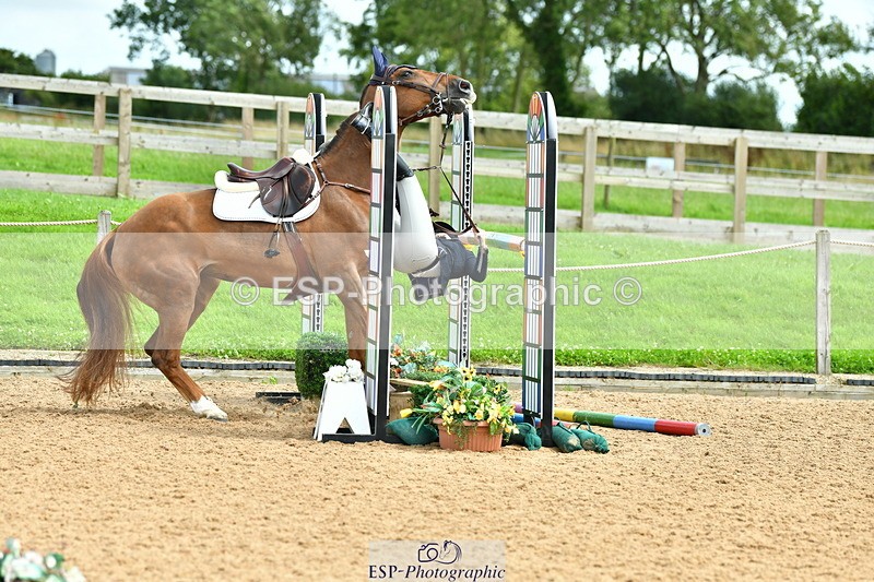 230728A-141127-02806 - Cls 3 Foxhunter