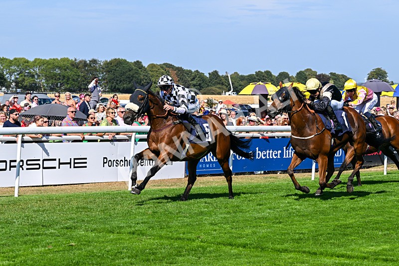 120826-Race 4-Glenfinnan-6560 - Race 4 15.45pm Jill Willows Handicap