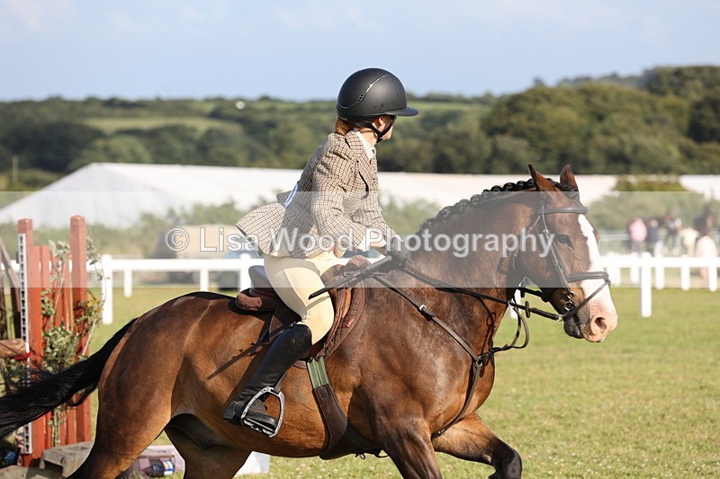 JPP_3233 - Class 21: Working Hunter 80cm