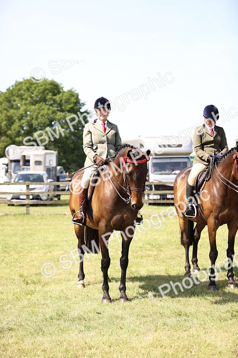 SBM_13041 - Class 75-76 LIHS BSHA Rising Star Hack Riding Horse
