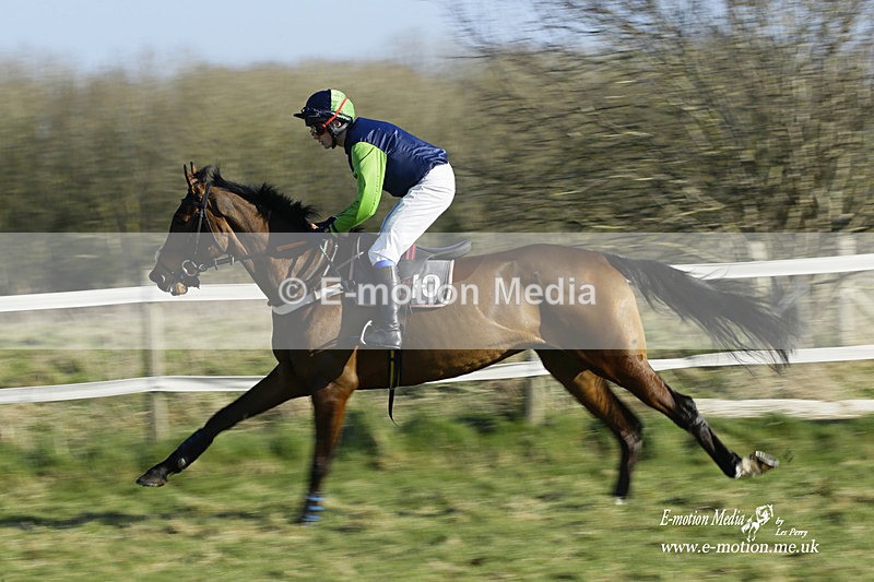 PtP 270222 156 - South & West Wilts Point-to-Point Larkhill 27/02/22