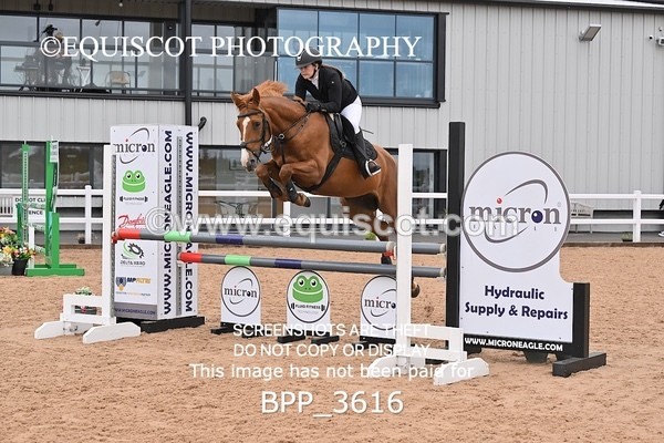 BPP_3616 - CLASS 1 WED Nupafeeds Senior Dicovery/1m open