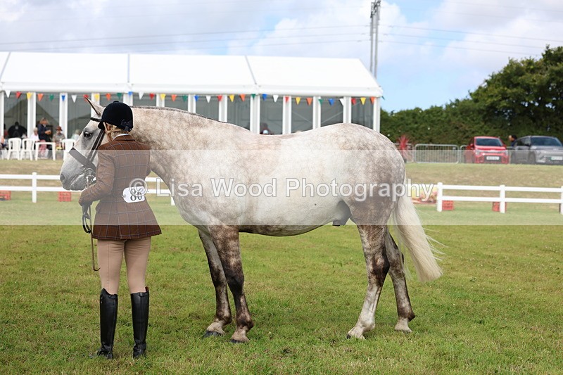 3E7A0348 - Class 6: Rising Star Maxi Cobs