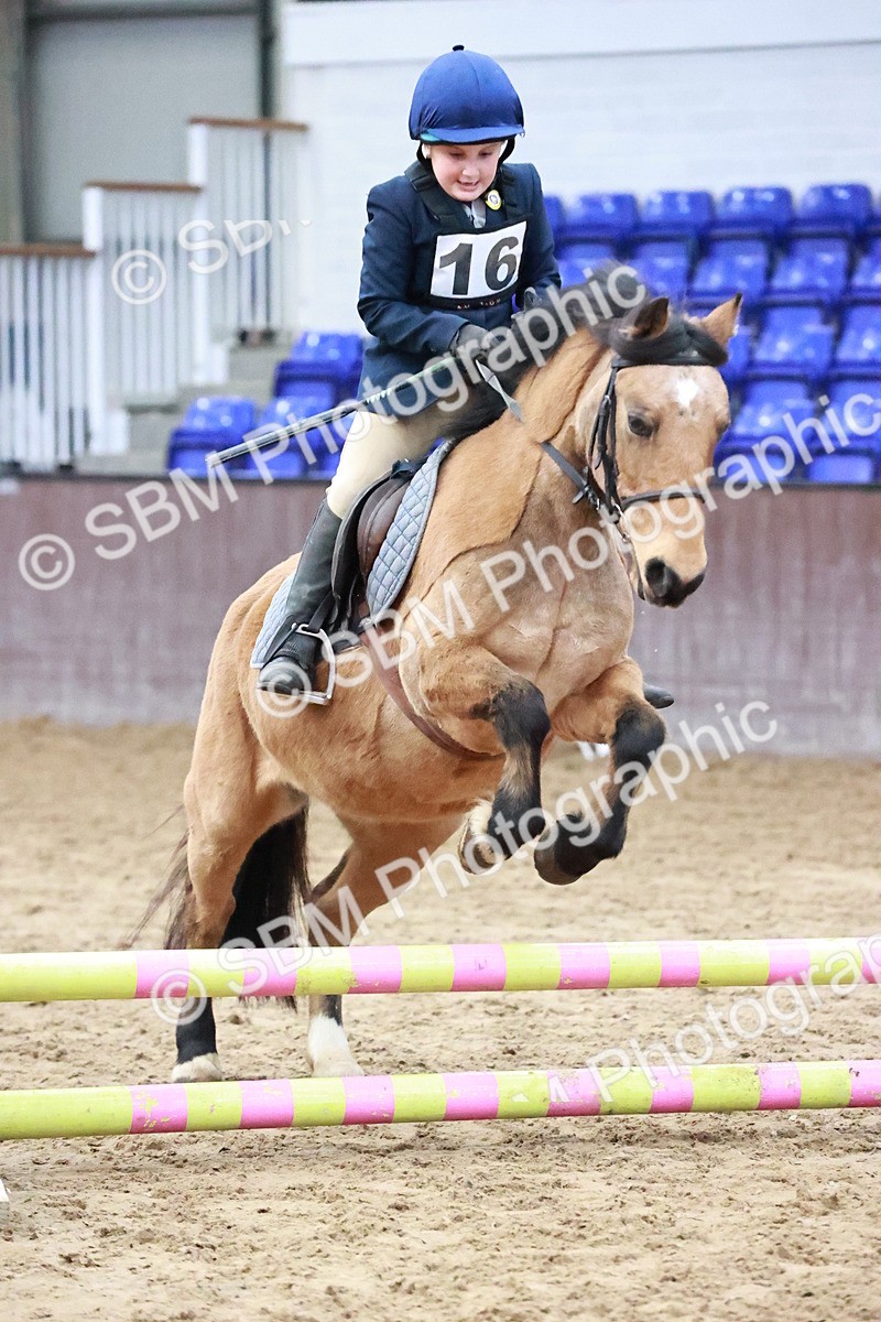 SBM_000535 - Class 2 - Show Jumping 50cm