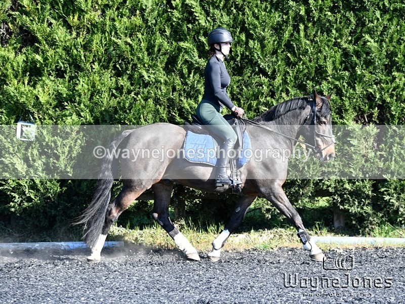 WJ5_0597 - Kelly Harris - Franklin balls, training at Tanners 05-04-25