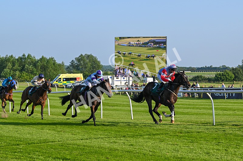 310524-Race 2-Dandy Fitz-8497 - Race 2