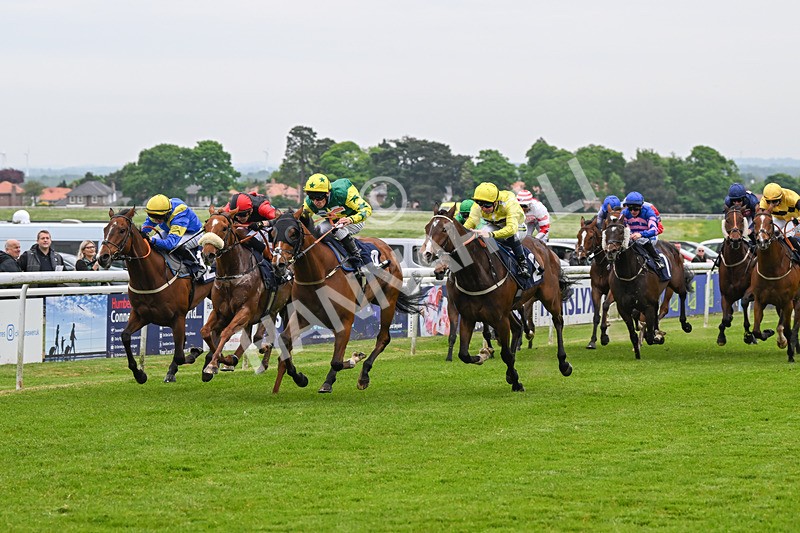 140524-Race 5-Coolree-2437 - Race 5