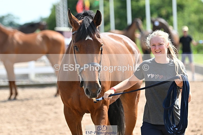 240717A-155245-03131 - Trot Up 3pm to 4pm