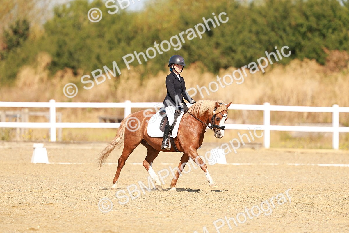 SBM_017582 - Class 9 - N5 Bronze 10.33.11.36