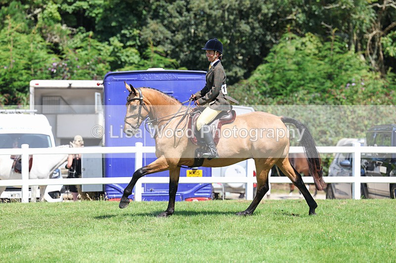 3E7A8973 - Class 6: Open Working Horse