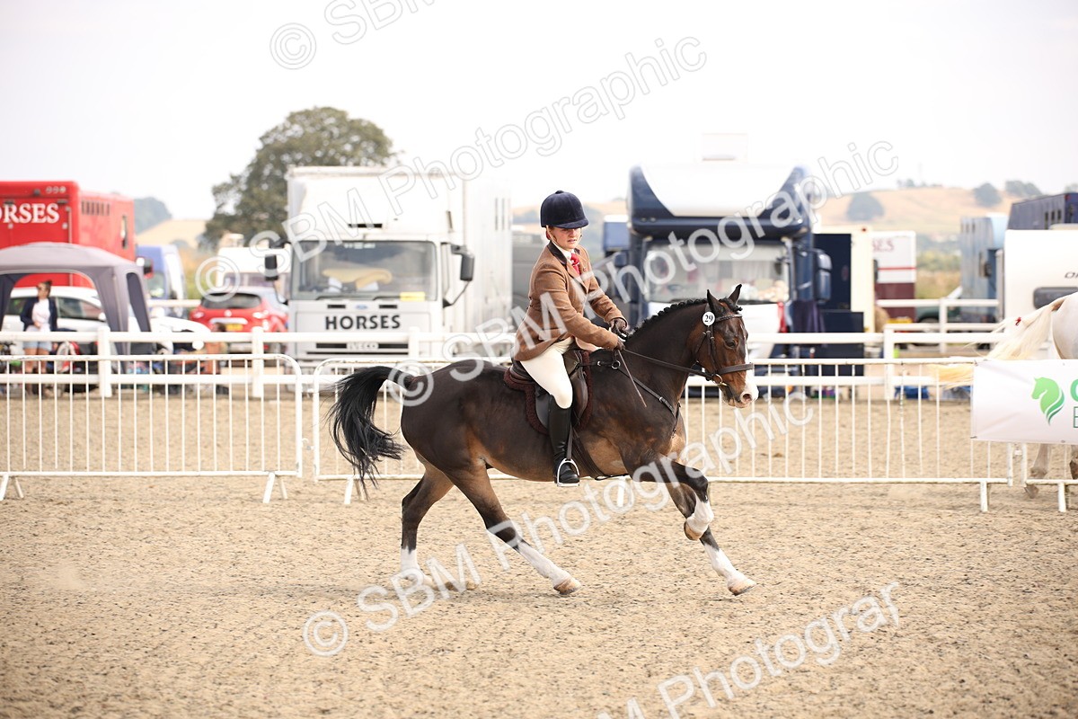 SBM_16080 - Class 408b - Working Veteran 70cm (20+)