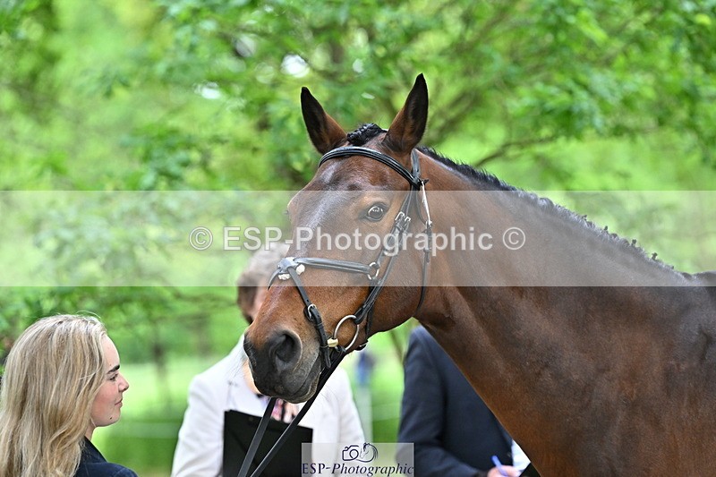 250521A-144159-00175 - A-054-Alice.Gates-SHANBEG.PANDORA