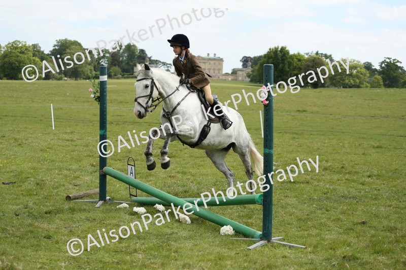 20250517-3015 - Class 25 - Horse & Hound