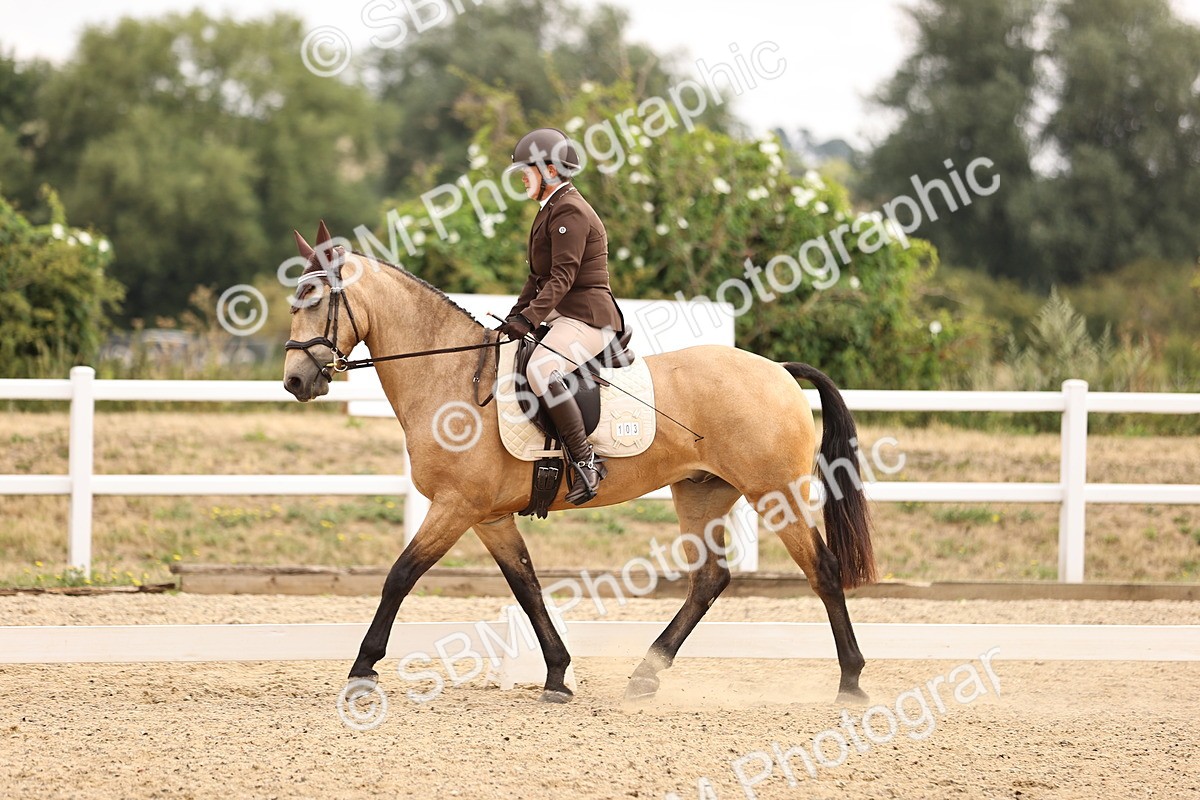 SBM_006440 - Intro 3 - 9.46-10.46