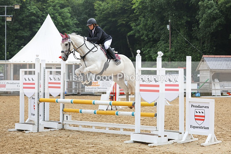 3E7A5525 - Class 4: Senior British Novice/90cm open