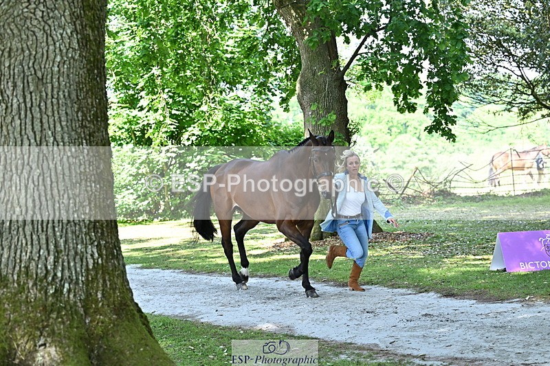 250521A-154342-00720 - B-358-Sammi.Birch-PARKFIELD.ARTIE.BLOU