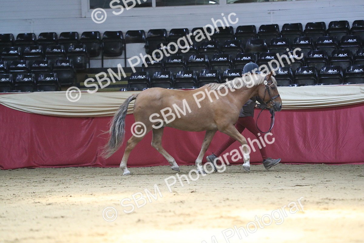 SBM_04375 - Class 7R Regional - IH Diamond