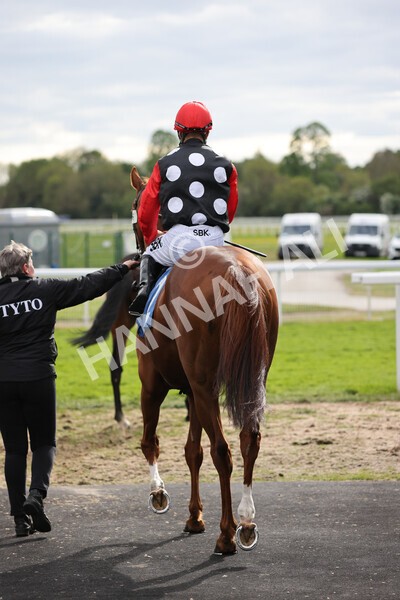 yr12052022r7-9 - Race 7 5.15pm Fidomoney Stakes