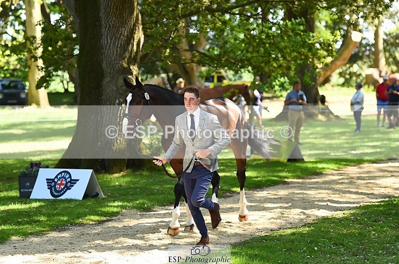 230524-150740-00075 - 307-PENHILLS_CANDY_MAN-Max_Warburton-WEDTrotUp+DR