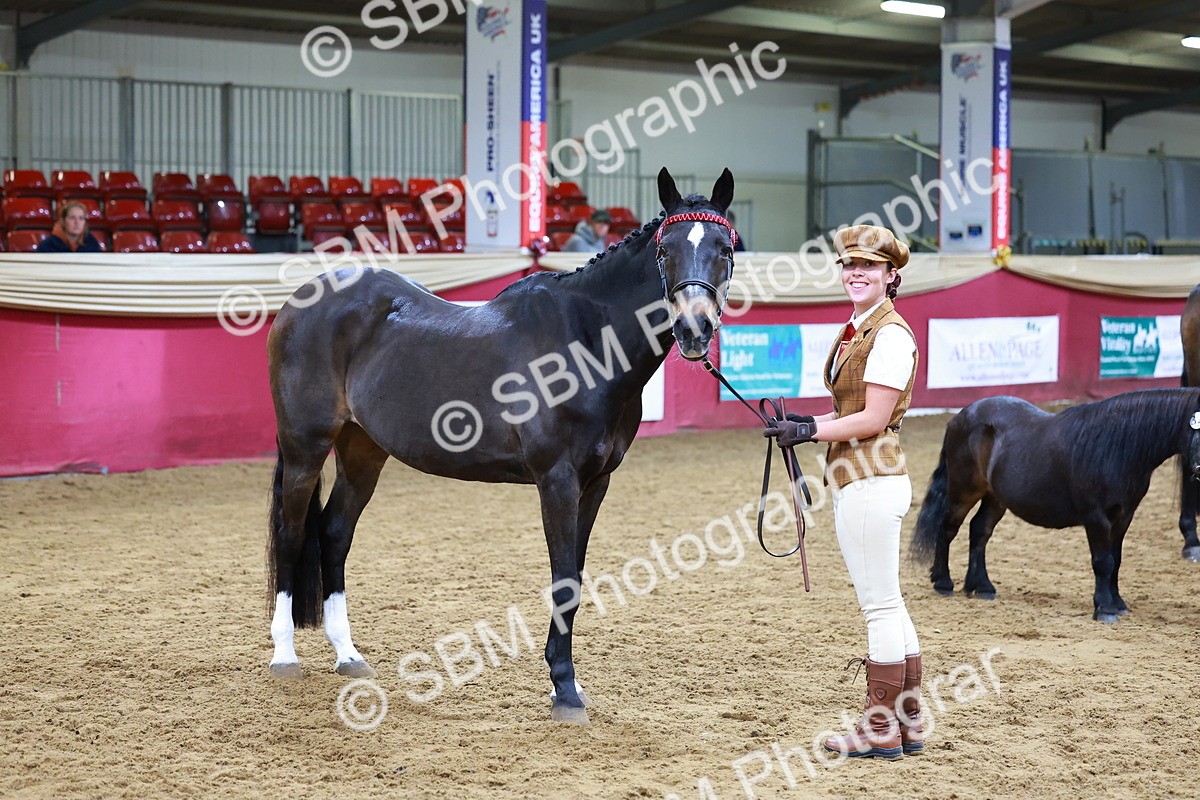 SBM_16225 - Class 901 - Sup Final - IH Diamond