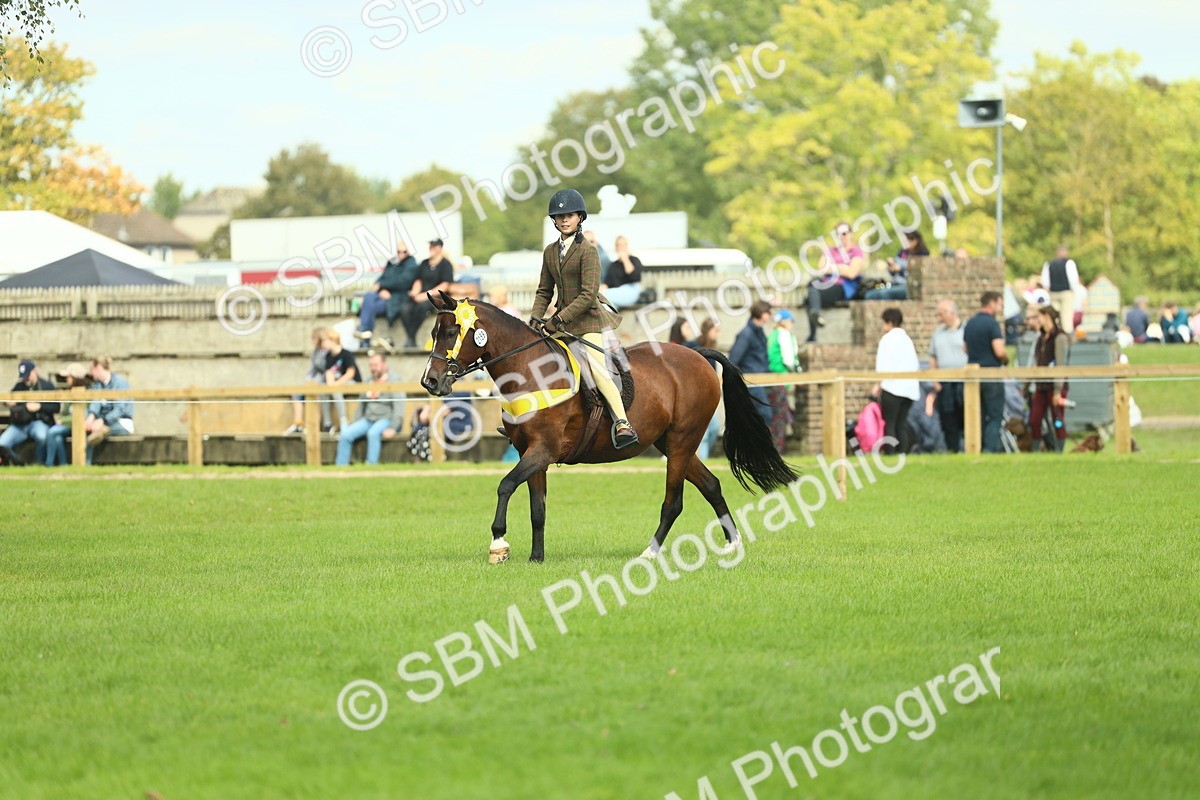 SBM_44950 - Working Hunter Pony Supreme Championship