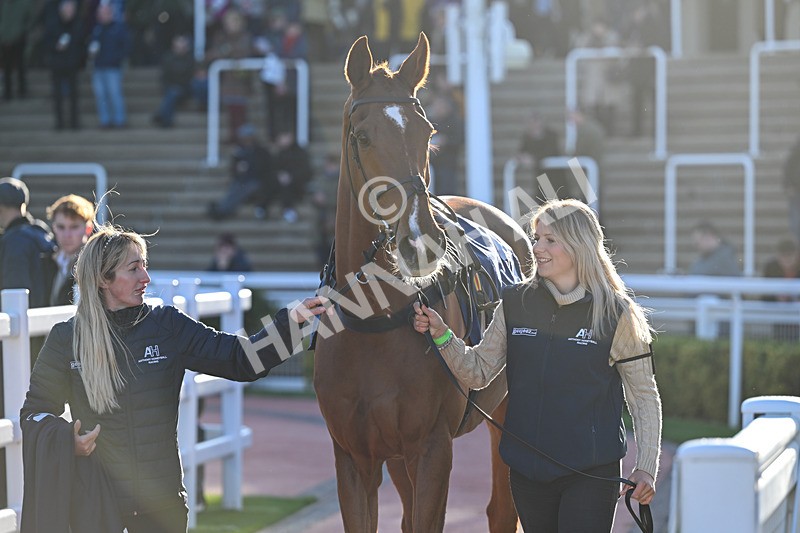 251025-Race 6-Leave Of Absence-9589 - Race 6