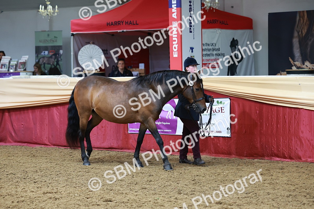 SBM_17317 - Class 951 - M&M IH Supreme Final