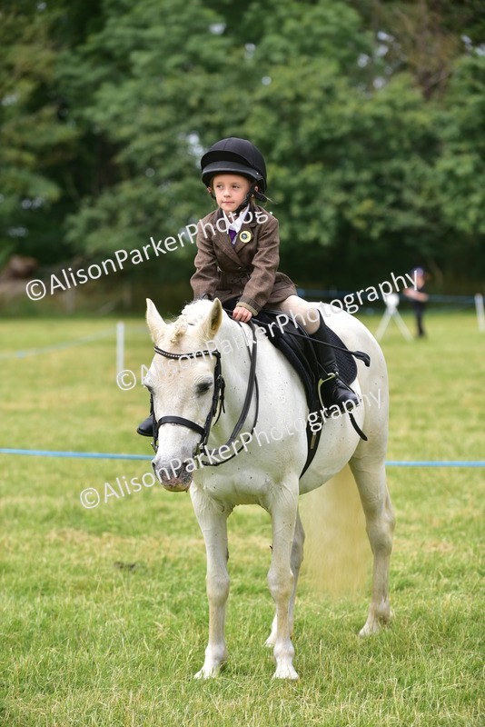 20260614-3722 - Class 15 - Prettiest Mare