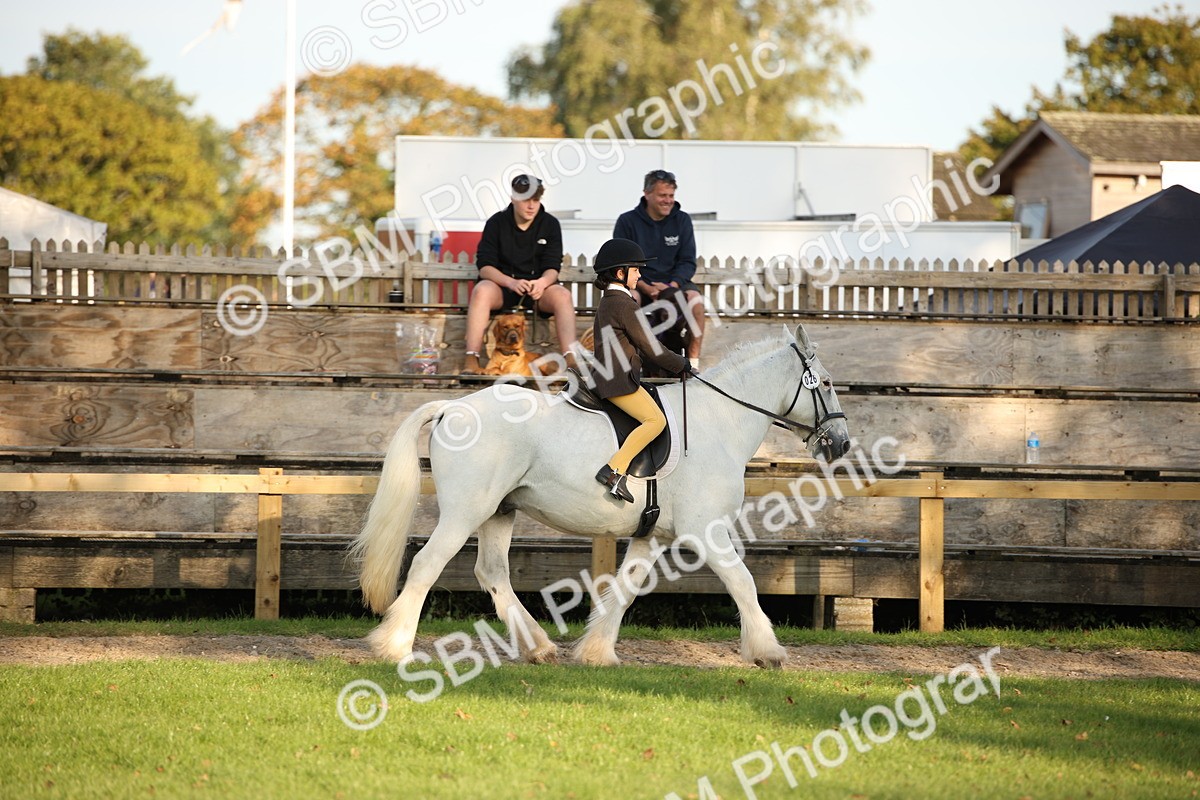 SBM_54421 - S27 - Mature Veteran - Ridden