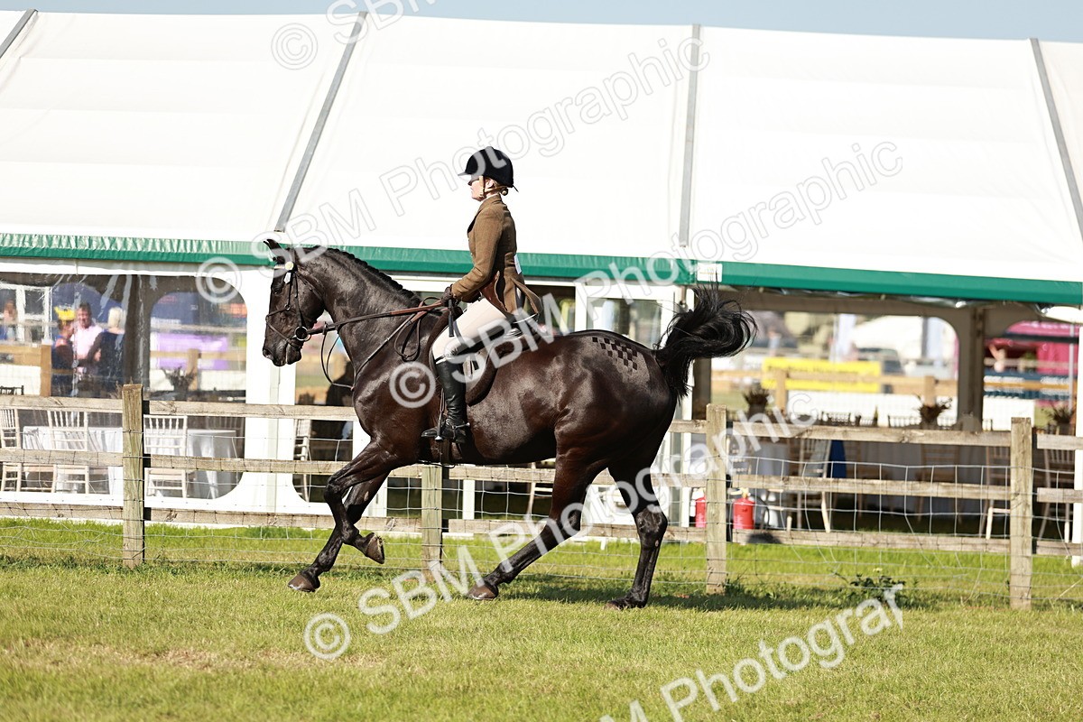 SBM_19244 - Class 115-116 - LIHS BSHA Rising Star Working Hunter & Show Horse