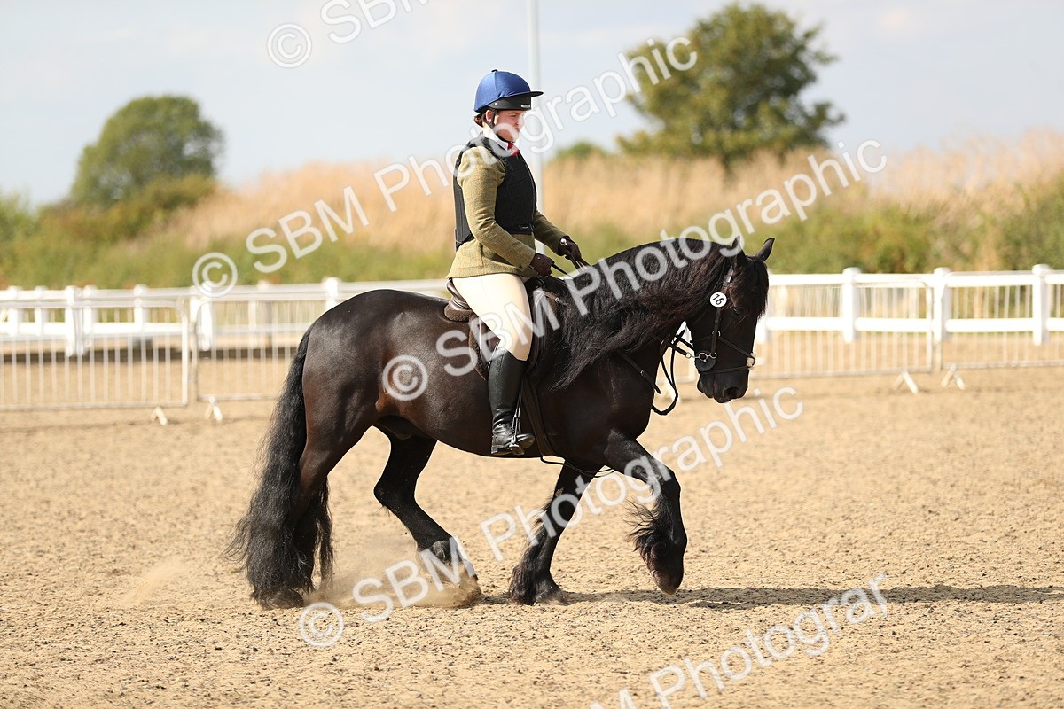 SBM_06857 - Class 49a Style & Performance 80cm (15-19)