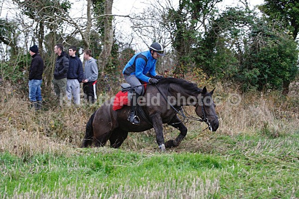 207 - Dunsany Chase 2013
