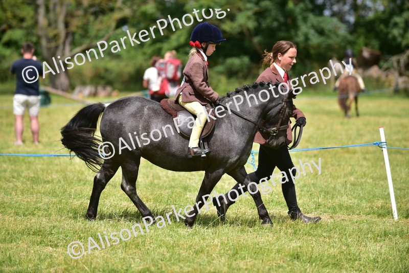 20260614-1370 - Class 11b - Lead Rein Pony (Plaited)