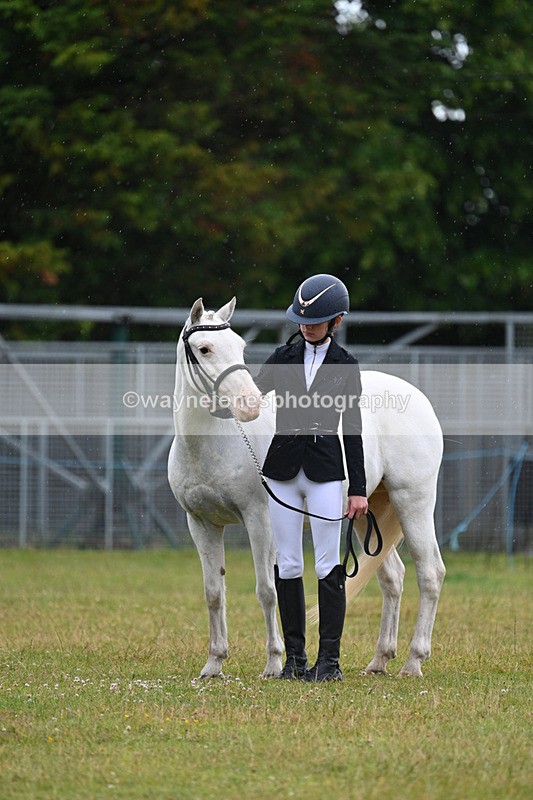 WJ7_5784 - Class 4 Prettiest Mare in Hand