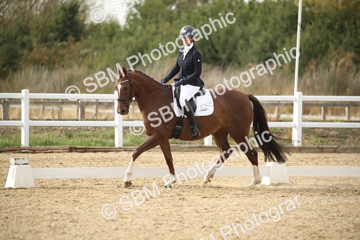 SBM_003491 - Class 6 - Elementary 5 - 16.10-16.43