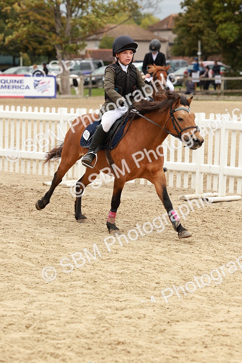 SBM_67024 - J13 - Junior Pony 60cm Championship