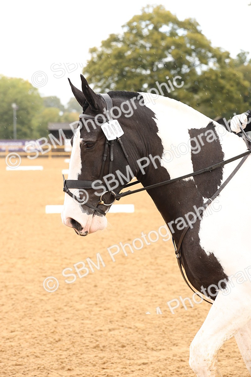 SBM_40607 - D6 - Small Tour Championship Intro 4