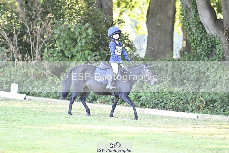 250821A-090342-13150 - DR 9.00 to 10.00