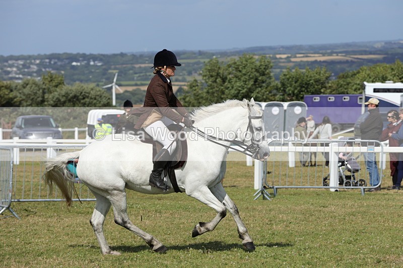 1X9A5923 - Class 41:. NPS New Forest & Connemara